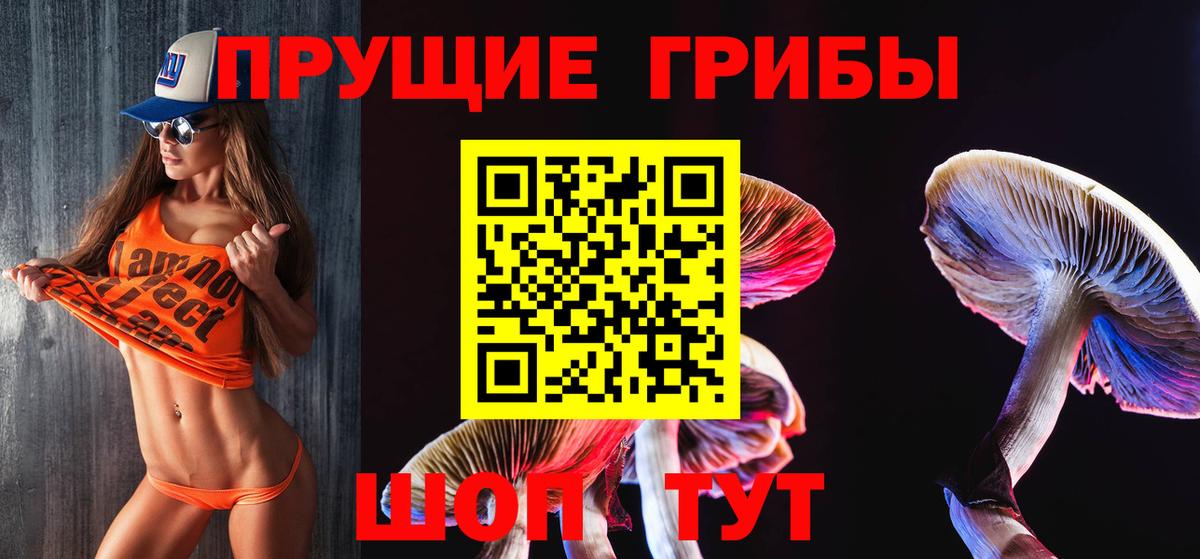 Стрежевой  Псилоцибиновые грибы Magic Shrooms  Вход с VPN 