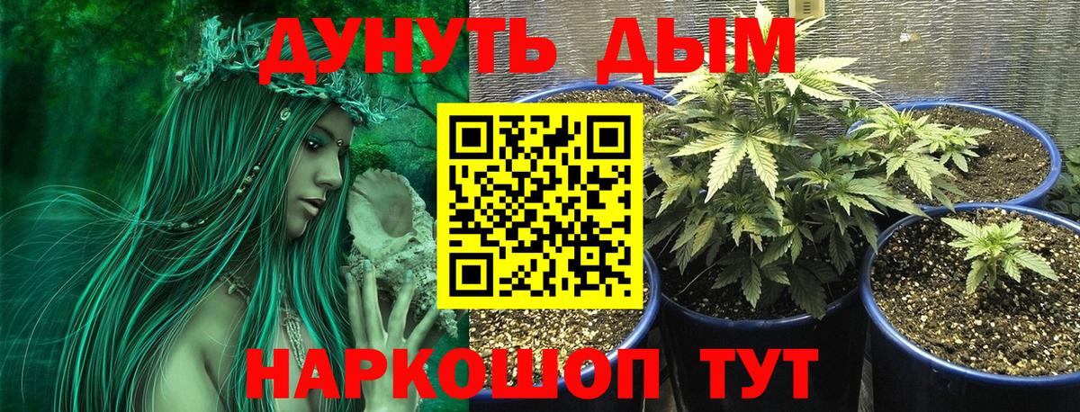 МАРИХУАНА AK-47  Бошки Шишки марихуана  Марихуана White Widow  Вход с VPN  Стрежевой 